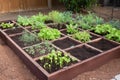 freshly planted garden, with newly germinated seeds and sprouts visible