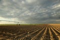 Freshly planted rows of potatoes in an Idaho farm field.