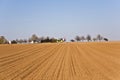 Freshly ploughed acre with row of trees