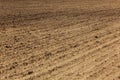 Freshly ploughed field, lines from plow visible in ground. Abstract agriculture background