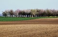 Freshly ploughed light brown farm land. blooming almond tree patch. undulating hills