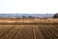 Freshly ploughed and sowed light brown farm land with undulating hills