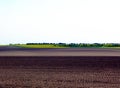 Undulating farm hills of brown, green and yellow color. freshly ploughed land Royalty Free Stock Photo