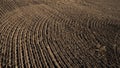 Freshly plowed agricultural field