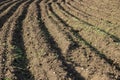Close-up view of a freshly plowed agricultural field with small green sprouts emerging between the furrows Royalty Free Stock Photo