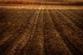 Freshly Plowed Farm Field for Agriculture