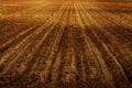 Freshly Plowed Farm Field for Agriculture Royalty Free Stock Photo