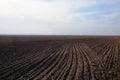 A freshly plowed farm field. Cultivated agricultural land. Landscape Royalty Free Stock Photo