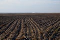 A freshly plowed farm field. Cultivated agricultural land. Landscape Royalty Free Stock Photo