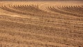 Freshly plowed field, circles on the field Royalty Free Stock Photo