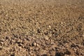 Freshly plowed land. A brownish relief texture. Loose soil for planting. Agriculture. Agricultural business. Technology of food cu