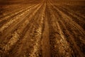 Freshly Plowed Farm Field for Agriculture