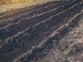 Freshly plowed ploughed farm field for growing crops agriculture