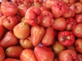 Close-up Freshly plucked rose apple fruit or jambu air on display for sale