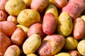 Freshly potatoes