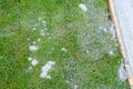 Freshly poured concreate sidewalk, closeup of concrete, wood form, and overspill mess in lawn