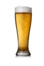 Tall pint glass of freshly poured golden amber beer with frothy head and bubbles