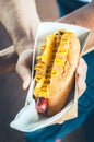 Freshly prepared cheesy hotdog in a paper box in a hand. Food delivery or lyfestyle concept Royalty Free Stock Photo