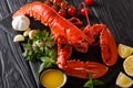 Freshly prepared lobster closeup with lemon, garlic, fresh tomatoes and herbs on a table. horizontal Royalty Free Stock Photo