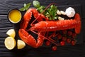 Freshly prepared lobster closeup with lemon, garlic, fresh tomatoes and herbs on a table. Horizontal top view Royalty Free Stock Photo