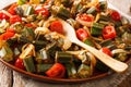 Freshly prepared okra with tomato and onions close-up on a plate