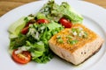 Salmon With A Zucchini Salad & Lemon-Caper Vinaigrette Dish Royalty Free Stock Photo