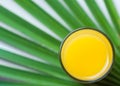 Freshly pressed citrus orange juice in glass on green palm leaf background. Summer tropical fruits Royalty Free Stock Photo