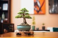 freshly repotted bonsai tree with soil and pot in view