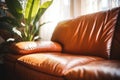 freshly restored leather couch in natural light for detail visibility Royalty Free Stock Photo