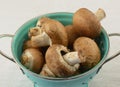 Freshly rinsed baby portabello mushrooms