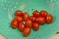 Freshly rinsed grape tomatoes