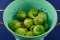 Freshly rinsed raw fresh brussel sprouts