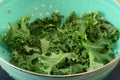 Freshly rinsed raw kale