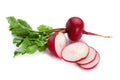 Freshly ripe radishes isolated on white background