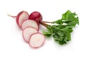 Freshly ripe radishes isolated on white background Royalty Free Stock Photo