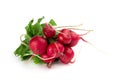 Freshly ripe radishes isolated on white background Royalty Free Stock Photo