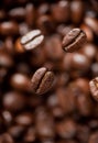 Freshly roasted coffee bean Royalty Free Stock Photo