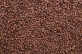 Freshly roasted coffee beans background top view using for your advertising