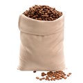 freshly roasted coffee beans in a bag made of natural fabric on a white isolated background Royalty Free Stock Photo