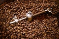 Freshly roasted coffee beans Royalty Free Stock Photo