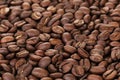 Freshly roasted coffee beans closeup Royalty Free Stock Photo