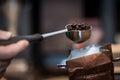 Freshly roasted coffee beans in an espresso fliter in a man`s hand Royalty Free Stock Photo