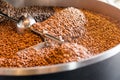 Freshly roasted coffee beans from a large roaster in the cooling cylinder. Motion blur on the beans, selective focus Royalty Free Stock Photo