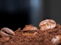 Freshly roasted coffee beans. Macro photos