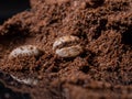 Freshly roasted coffee beans. Macro photos