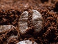 Freshly roasted coffee beans. Macro photos