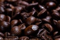 Freshly Roasted Coffee Beans in Narrow Focus