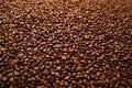 freshly roasted coffee beans spread evenly on a flat surface