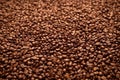 freshly roasted coffee beans spread evenly on a flat surface