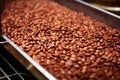 freshly roasted decaffeinated coffee beans in cooling tray